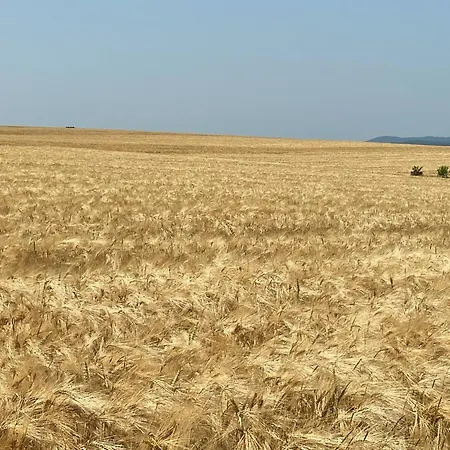 Le Chic Vintage Apartman Contrexéville