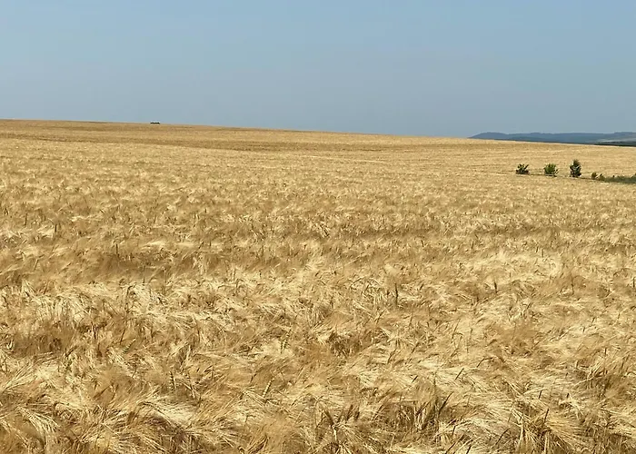 Le Chic Vintage Apartment Contrexeville